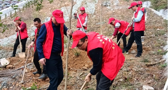村企共建，共植先鋒林