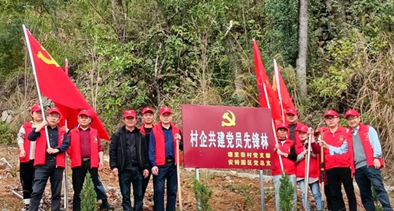 村企共建，共植先鋒林